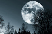Luna llena marzo 2024: cómo y cuándo ver la Luna del Gusano