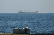 Irán aborda un carguero vinculado a Israel en el golfo de Omán