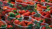 Alertan de la presencia de hepatitis A en unas fresas procedentes de Marruecos y vendidas en España