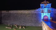 Jaca y Sabiñánigo se suman al Día Mundial del Autismo y se iluminan de azul
